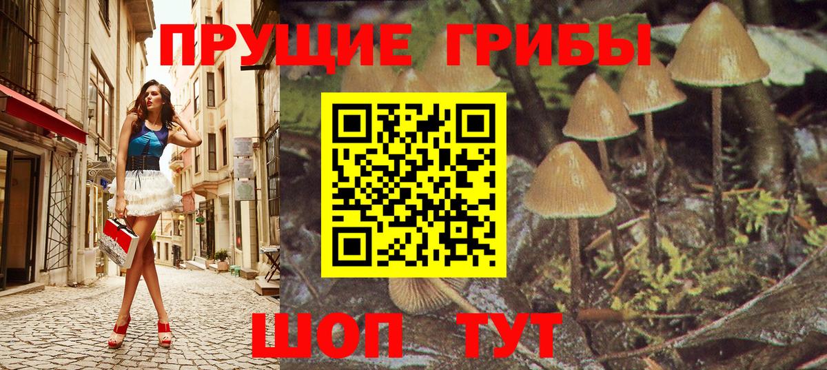 Псилоцибиновые грибы Cubensis Чехов